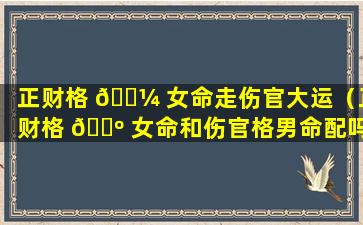 正财格 🌼 女命走伤官大运（正财格 🐺 女命和伤官格男命配吗）